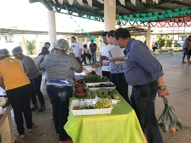 Experimento de feira livre ocorrido no Campus Amajari