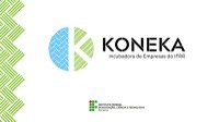 Certificado de registro da marca Koneka é emitido