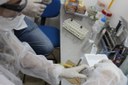 GP INOVAÇÃO – Projetos de desenvolvimento de pesquisa e inovação começam a ser desenvolvidos GP INOVAÇÃO – Projetos de desenvolvimento de pesquisa e inovação começam a ser desenvolvidos